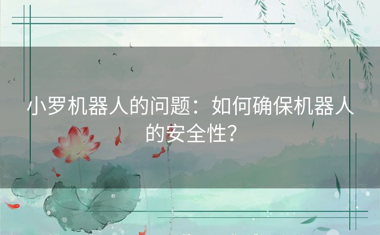 小罗机器人的问题：如何确保机器人的安全性？