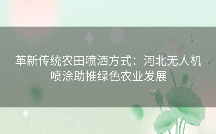 革新传统农田喷洒方式：河北无人机喷涂助推绿色农业发展