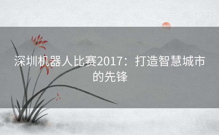 深圳机器人比赛2017：打造智慧城市的先锋