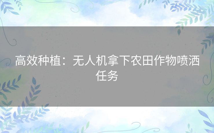 高效种植：无人机拿下农田作物喷洒任务