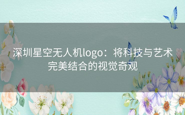 深圳星空无人机logo：将科技与艺术完美结合的视觉奇观