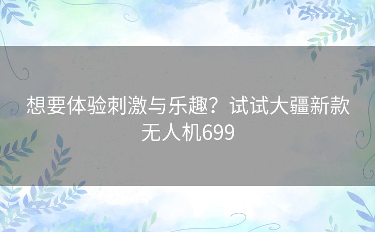 想要体验刺激与乐趣？试试大疆新款无人机699