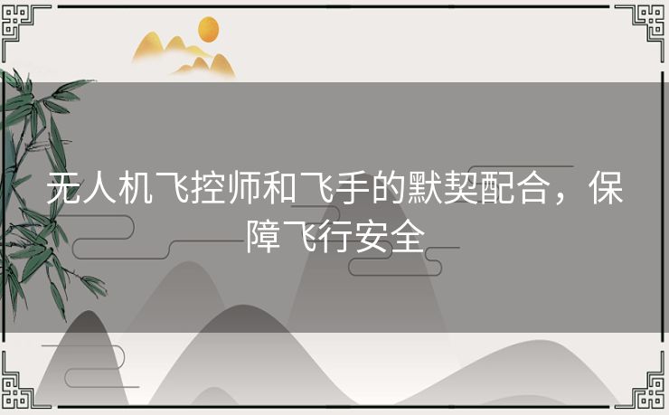 无人机飞控师和飞手的默契配合，保障飞行安全