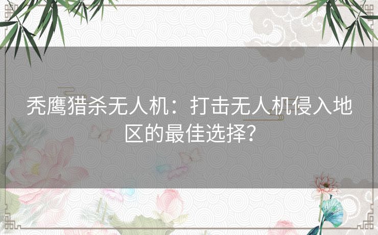 秃鹰猎杀无人机：打击无人机侵入地区的最佳选择？