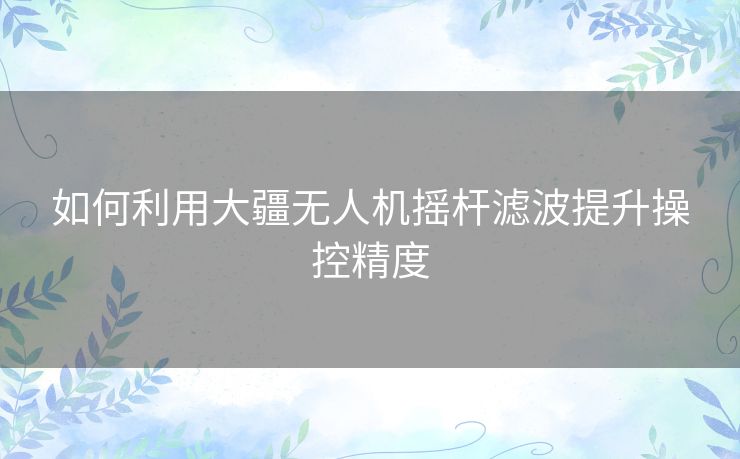 如何利用大疆无人机摇杆滤波提升操控精度