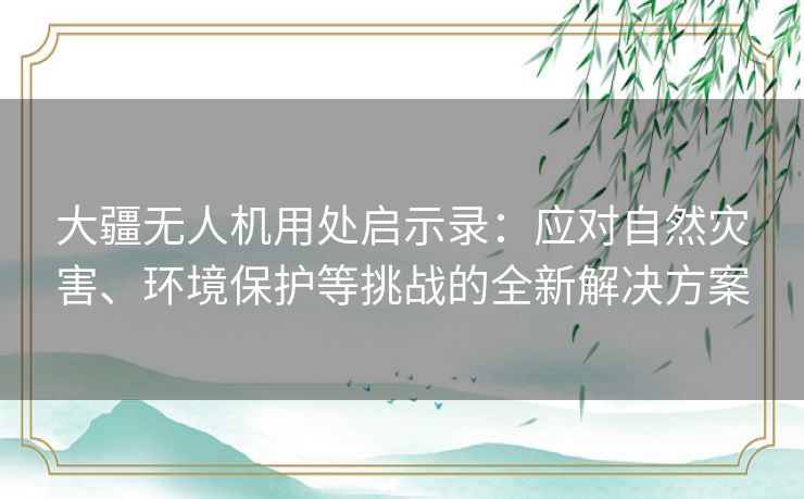 大疆无人机用处启示录：应对自然灾害、环境保护等挑战的全新解决方案