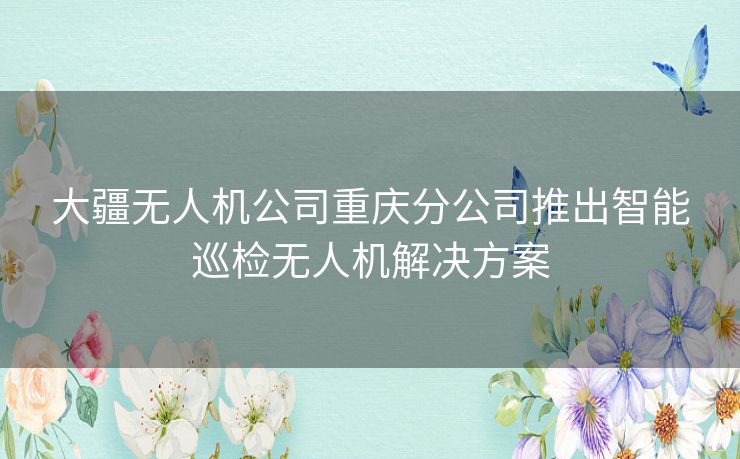 大疆无人机公司重庆分公司推出智能巡检无人机解决方案