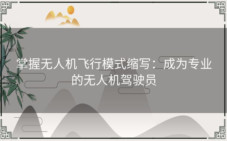 掌握无人机飞行模式缩写：成为专业的无人机驾驶员