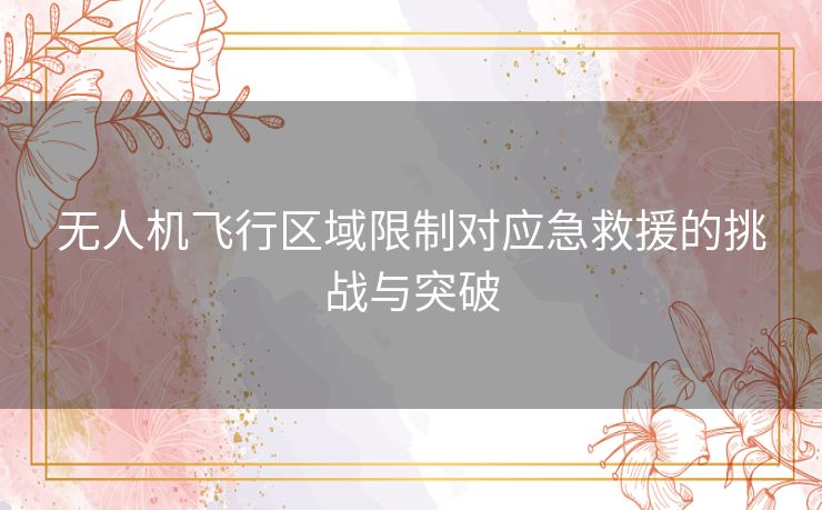 无人机飞行区域限制对应急救援的挑战与突破